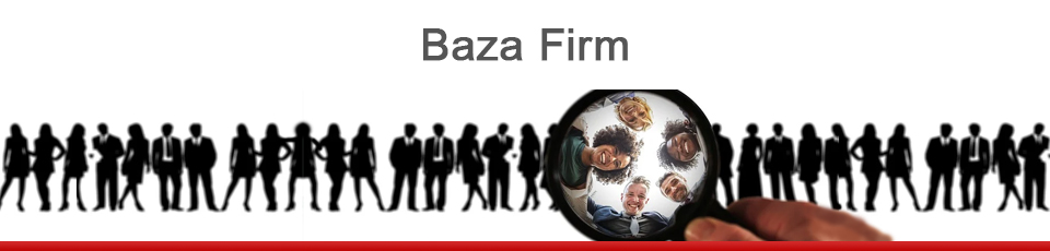 Baza firm